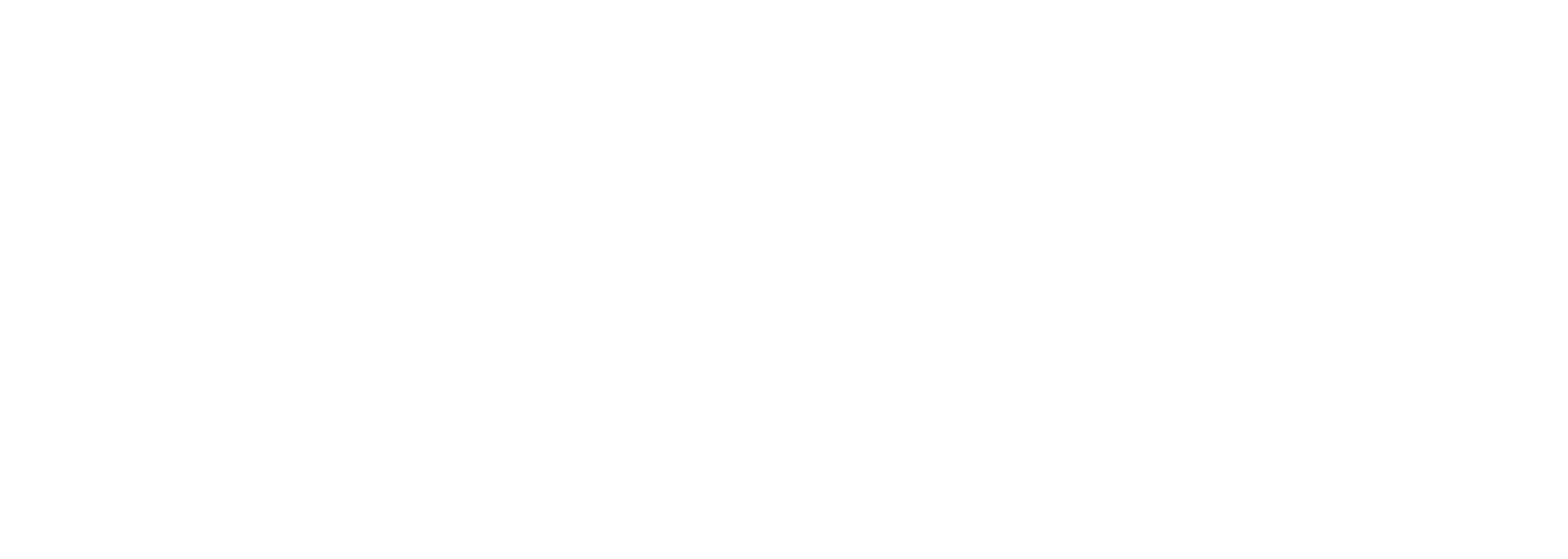Nike white logo